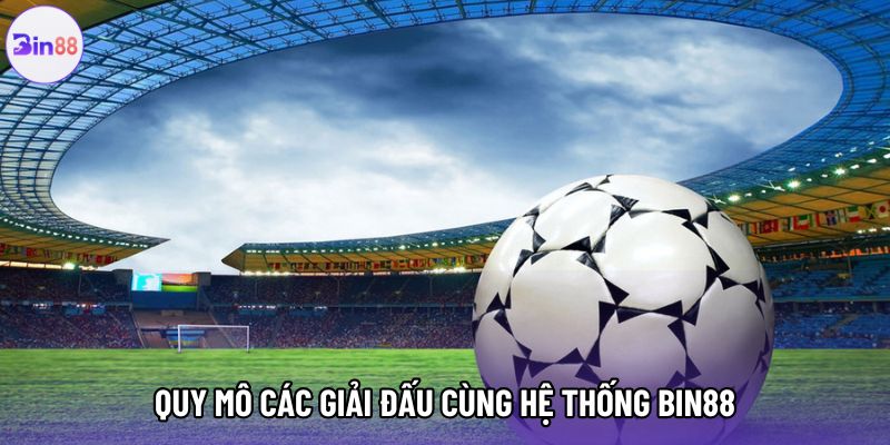 Quy mô các giải đấu cùng hệ thống bin88 Quy mô các giải đấu cùng hệ thống bin88